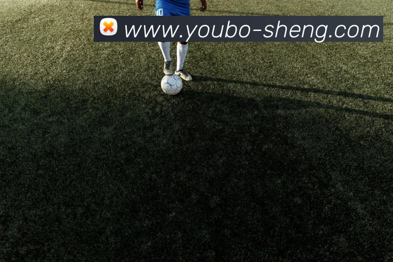 奖项2